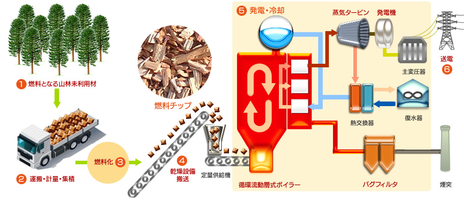 木質バイオマス発電とは、間伐材などの山林未利用材を燃焼した熱で蒸気を作り、その蒸気の圧力でタービンを回して電気を作ることをいいます。