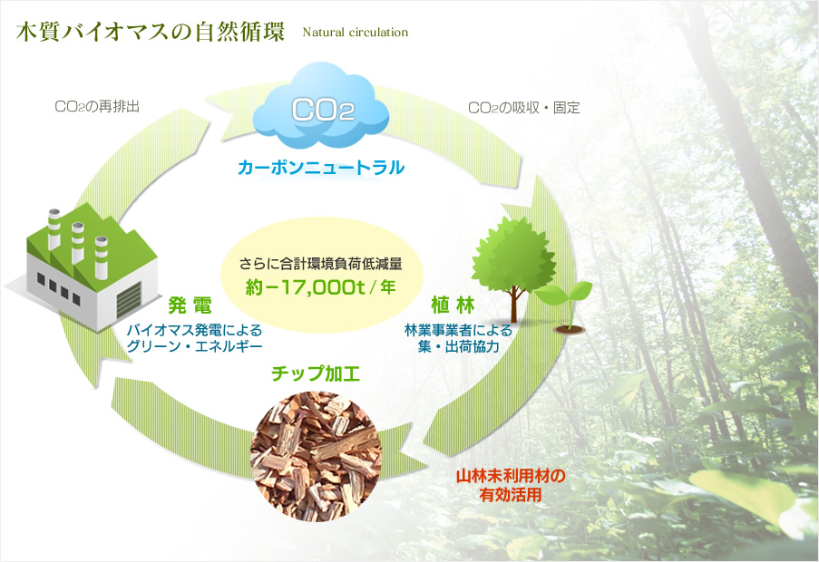 木質バイオマスの自然循環